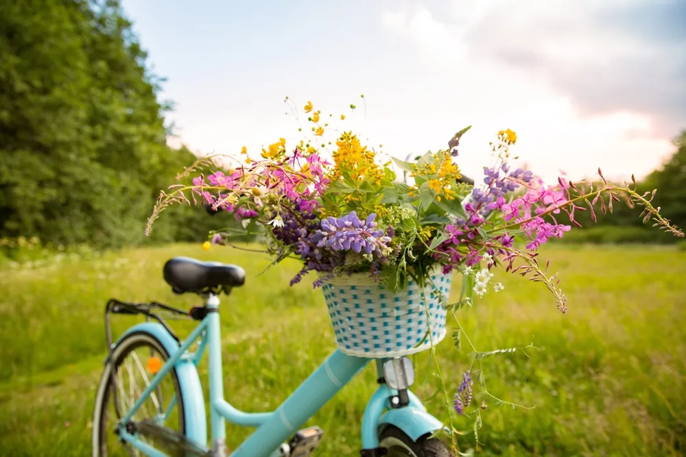 Vélo avec un panier de fleurs sauvages dans un pré
