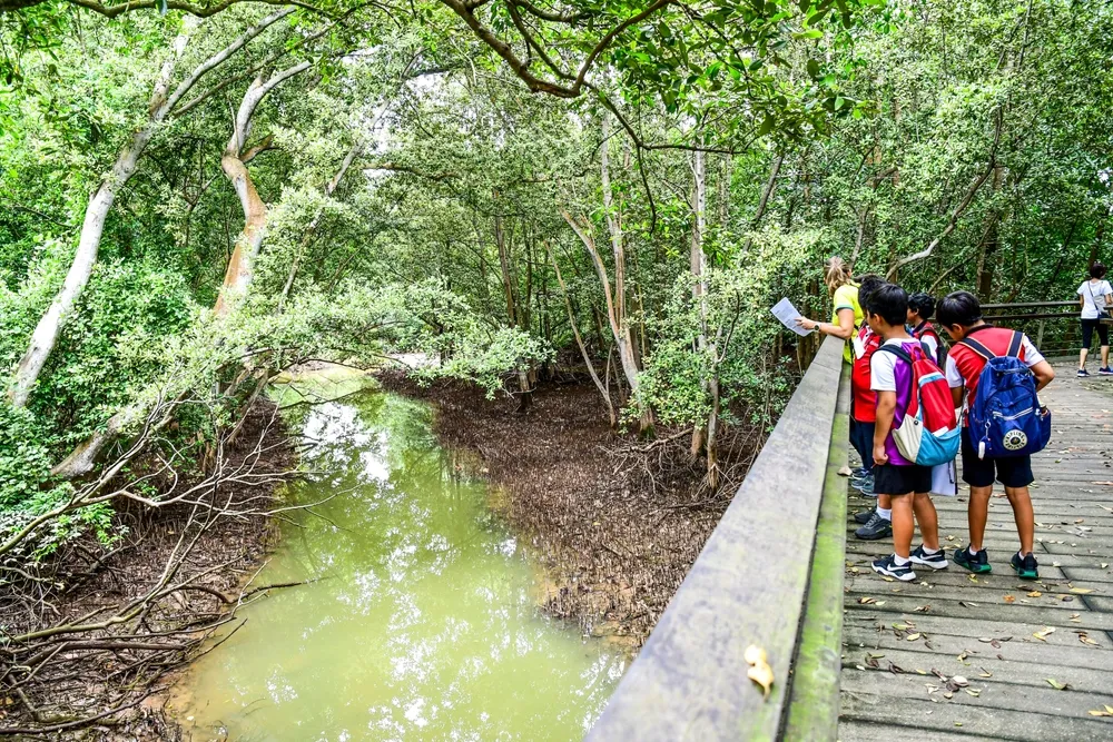 Une enseignante et ses élèves observent un ruisseau lors d'une sortie scolaire